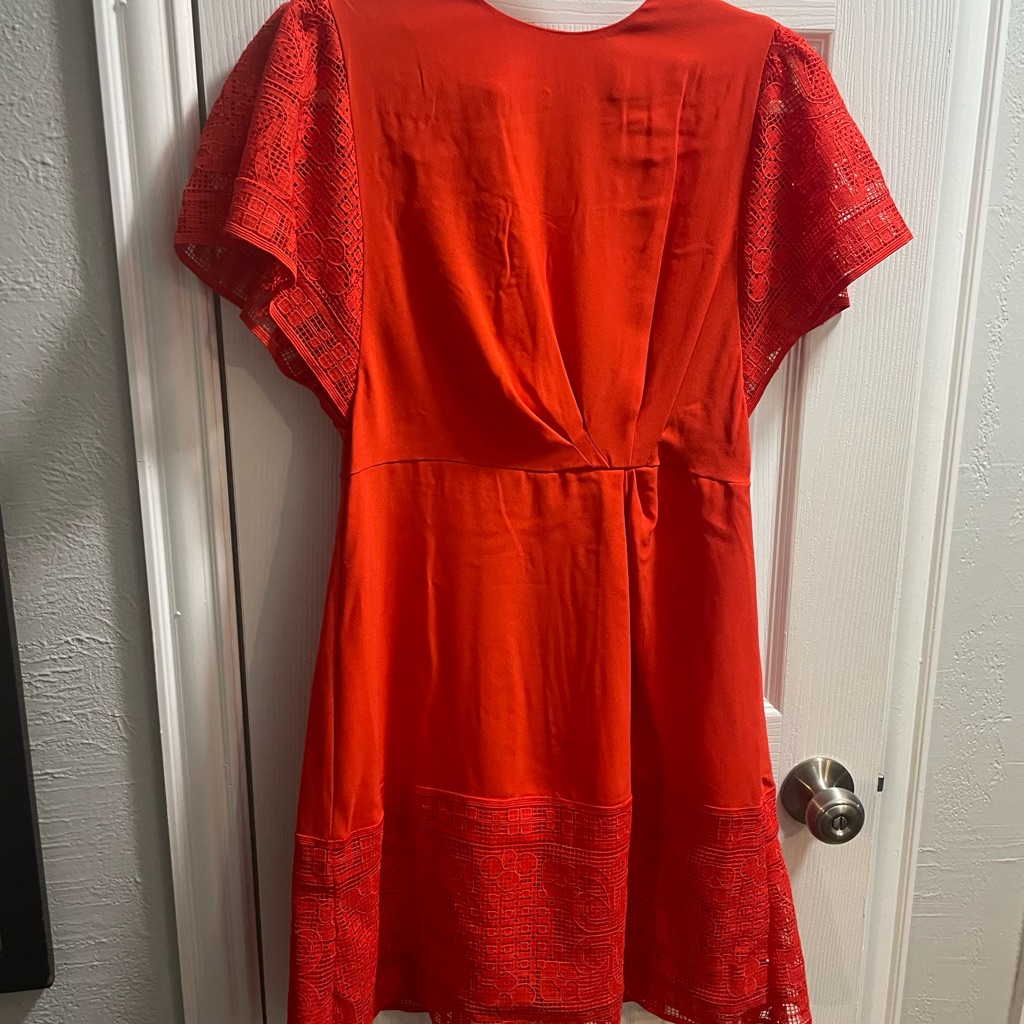Vibrant Red Dress With Lace Sleeves